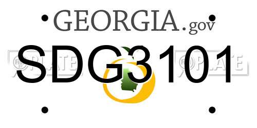 SDG3101 Georgia License Plate