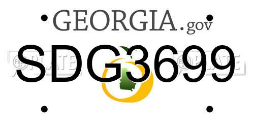 SDG3699 Georgia License Plate
