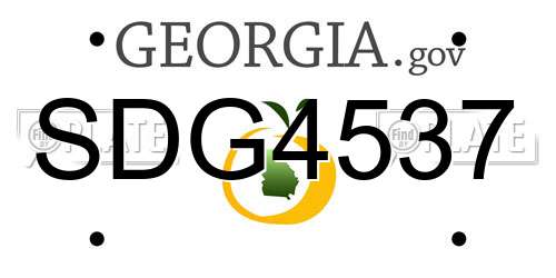 SDG4537 Georgia License Plate