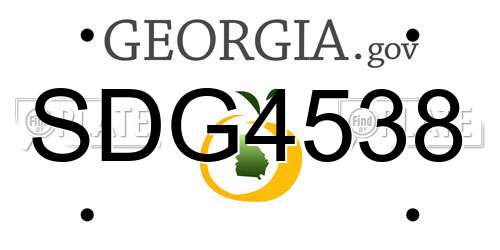 SDG4538 Georgia License Plate
