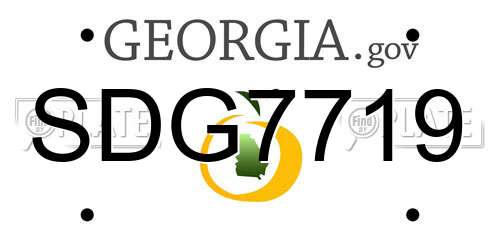 SDG7719 Georgia License Plate