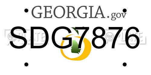 SDG7876 Georgia License Plate