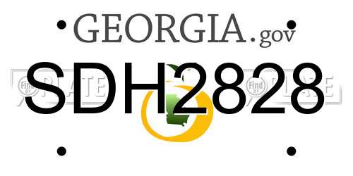 SDH2828 Georgia License Plate