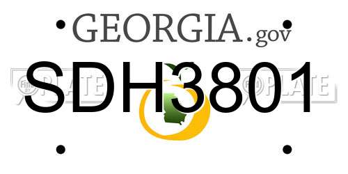 SDH3801 Georgia License Plate