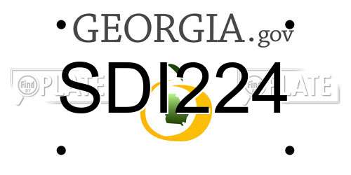 SDI224 Georgia License Plate