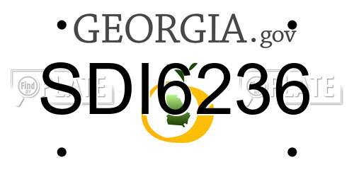 SDI6236 Georgia License Plate