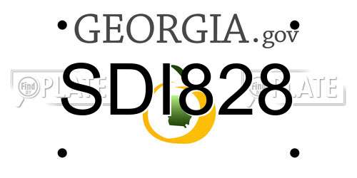 SDI828 Georgia License Plate