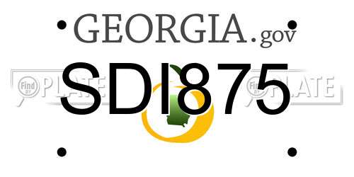 SDI875 Georgia License Plate