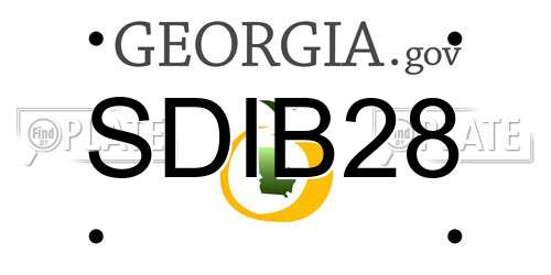 SDIB28 Georgia License Plate