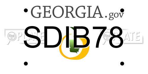 SDIB78 Georgia License Plate