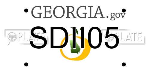 SDII05 Georgia License Plate
