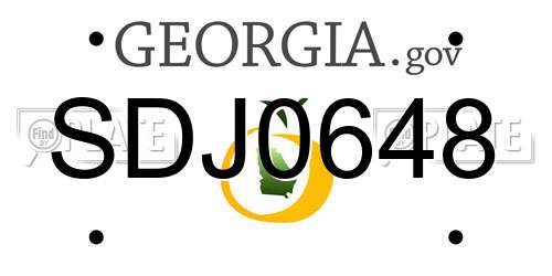SDJ0648 Georgia License Plate