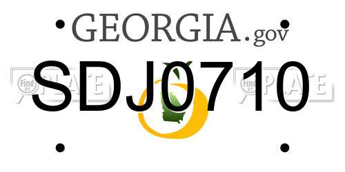 SDJ0710 Georgia License Plate