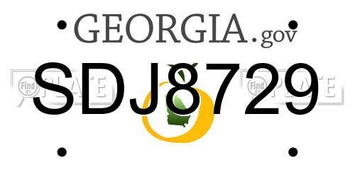 SDJ8729 Georgia License Plate