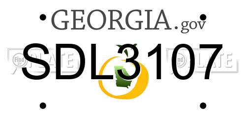 SDL3107 Georgia License Plate