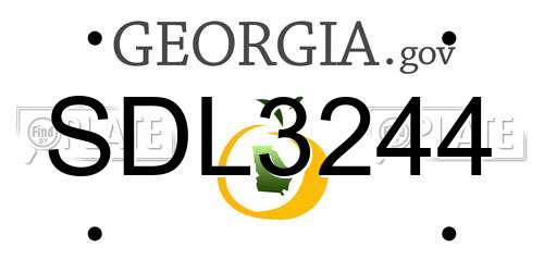 SDL3244 Georgia License Plate