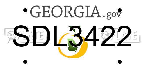 SDL3422 Georgia License Plate