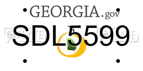 SDL5599 Georgia License Plate
