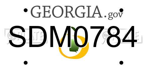 SDM0784 Georgia License Plate