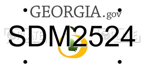 SDM2524 Georgia License Plate