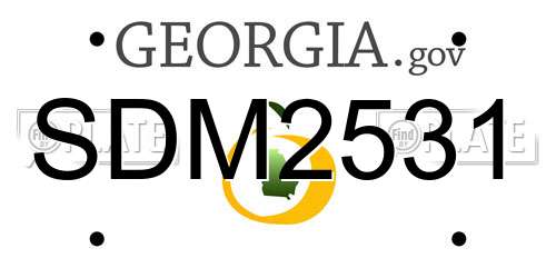 SDM2531 Georgia License Plate