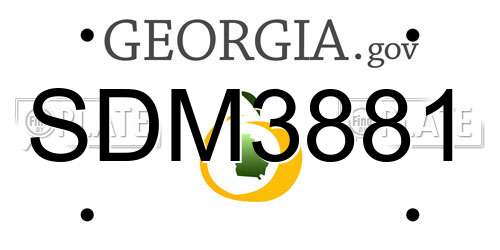 SDM3881 Georgia License Plate