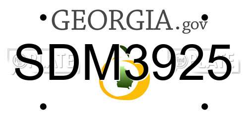 SDM3925 Georgia License Plate