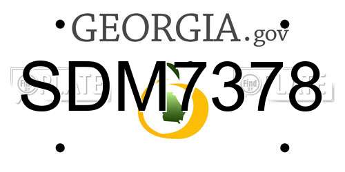 SDM7378 Georgia License Plate