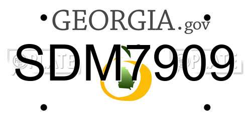 SDM7909 Georgia License Plate