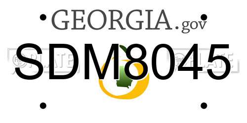 SDM8045 Georgia License Plate