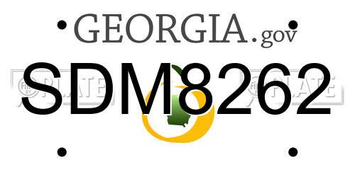 SDM8262 Georgia License Plate
