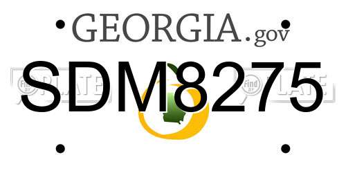 SDM8275 Georgia License Plate