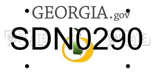 SDN0290 Georgia License Plate