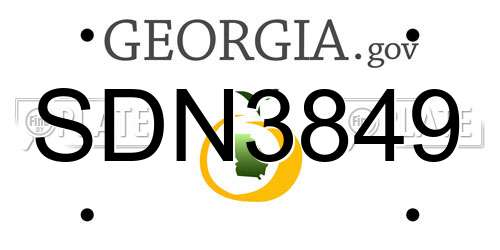 SDN3849 Georgia License Plate