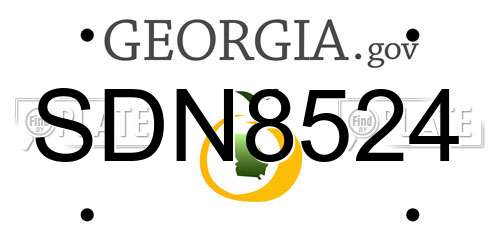 SDN8524 Georgia License Plate