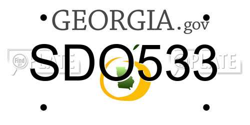 SDO533 Georgia License Plate