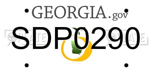 SDP0290 Georgia License Plate
