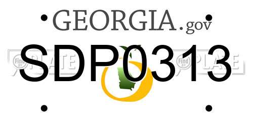 SDP0313 Georgia License Plate
