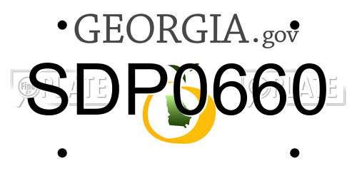 SDP0660 Georgia License Plate