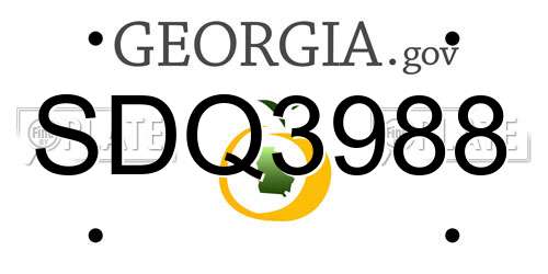 SDQ3988 Georgia License Plate