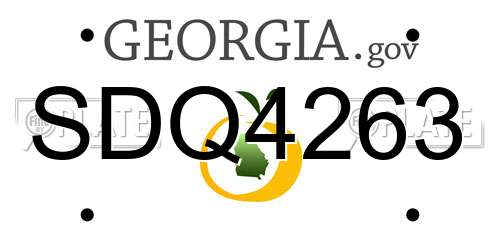 SDQ4263 Georgia License Plate