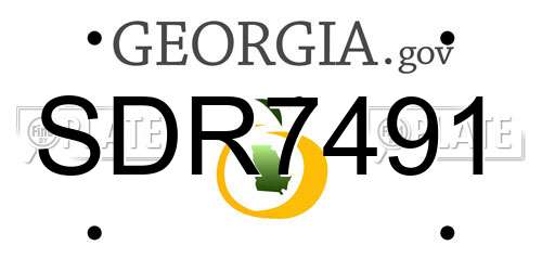 SDR7491 Georgia License Plate
