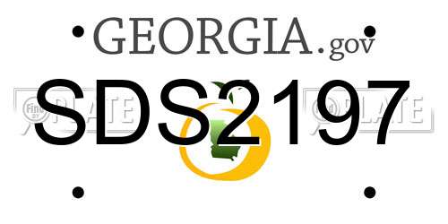 SDS2197 Georgia License Plate