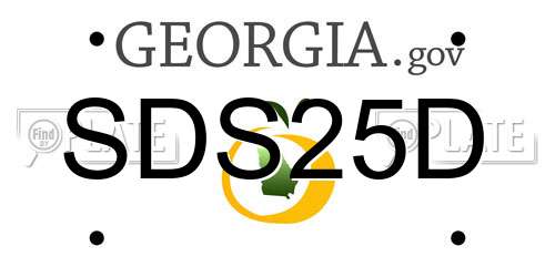 SDS25D Georgia License Plate