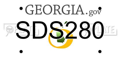 SDS280 Georgia License Plate