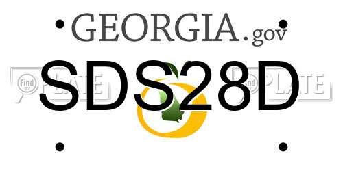 SDS28D Georgia License Plate
