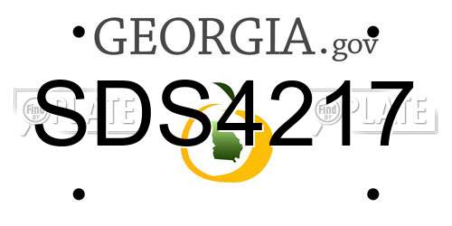 SDS4217 Georgia License Plate