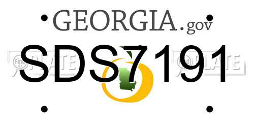 SDS7191 Georgia License Plate