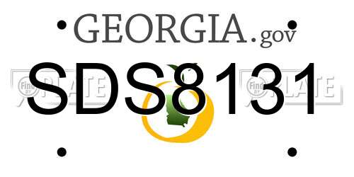 SDS8131 Georgia License Plate