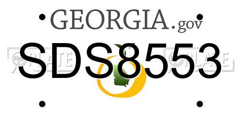SDS8553 Georgia License Plate